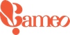 Cameo Communications